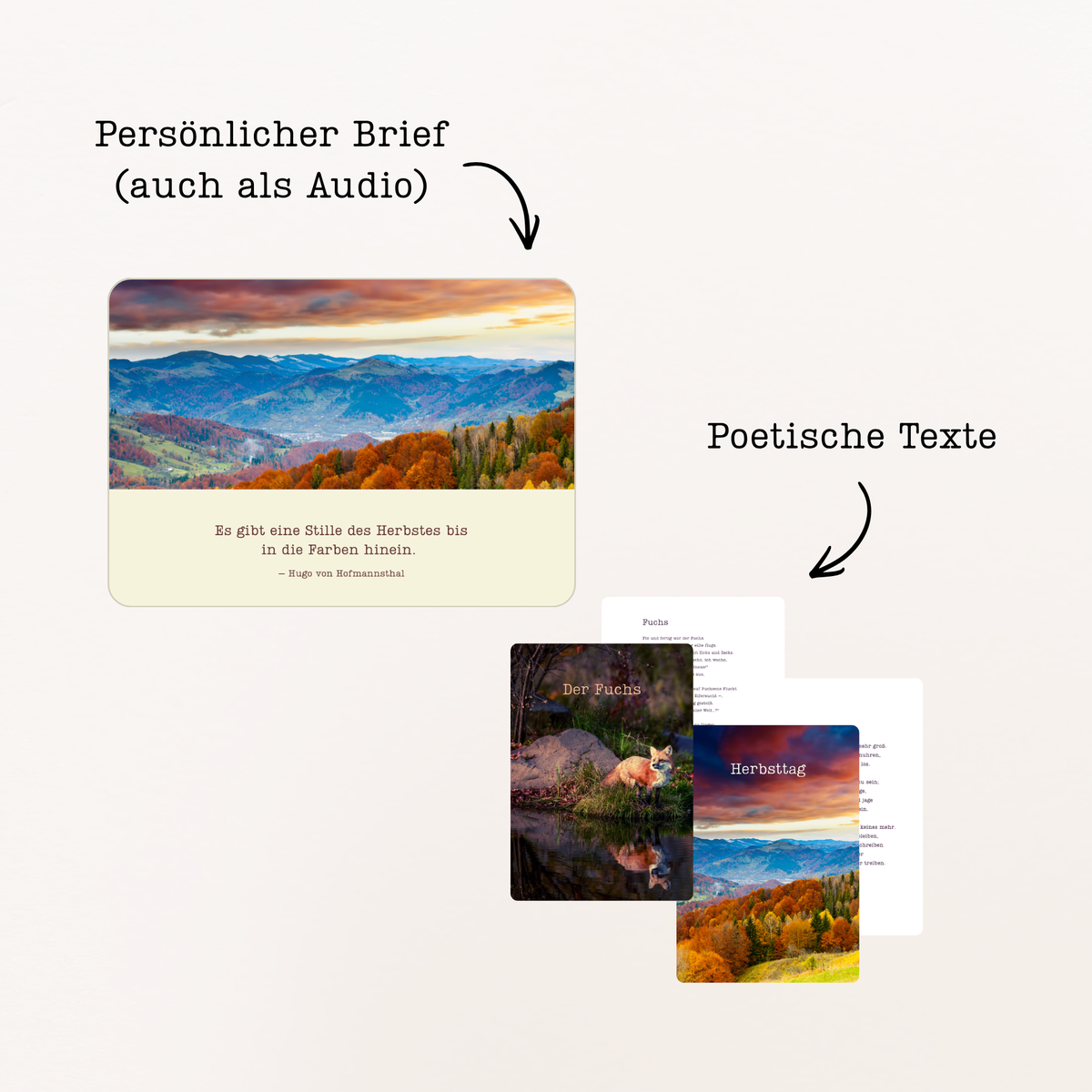 Briefe aus dem Schlei-Archiv